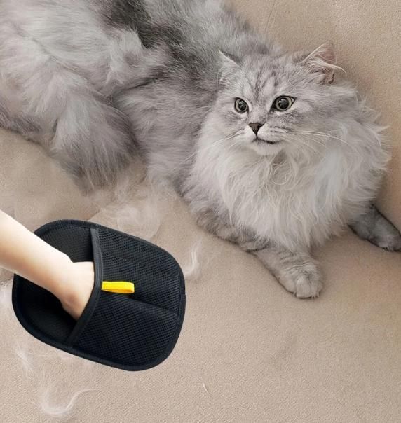 Pet Hair Removal Gloves from things like couch,cloths and etc
